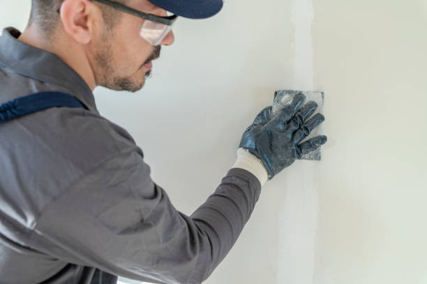 Best Crawl Space Mold Remediation  in Sylvester, GA