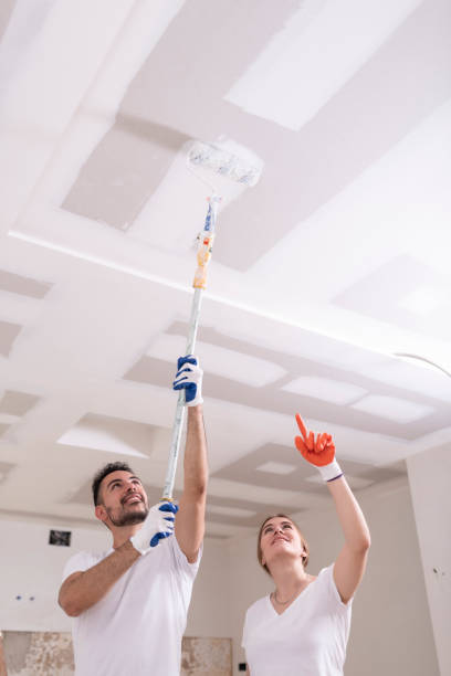 Best Residential Mold Inspection & Testing  in Sylvester, GA