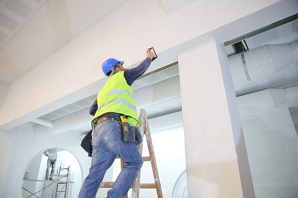 Best Mold Documentation for Insurance Claims  in Sylvester, GA