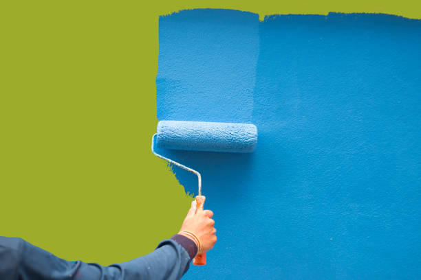 Best Attic Mold Removal  in Sylvester, GA