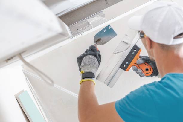 Best Comprehensive Air Testing for Mold Contaminants  in Sylvester, GA